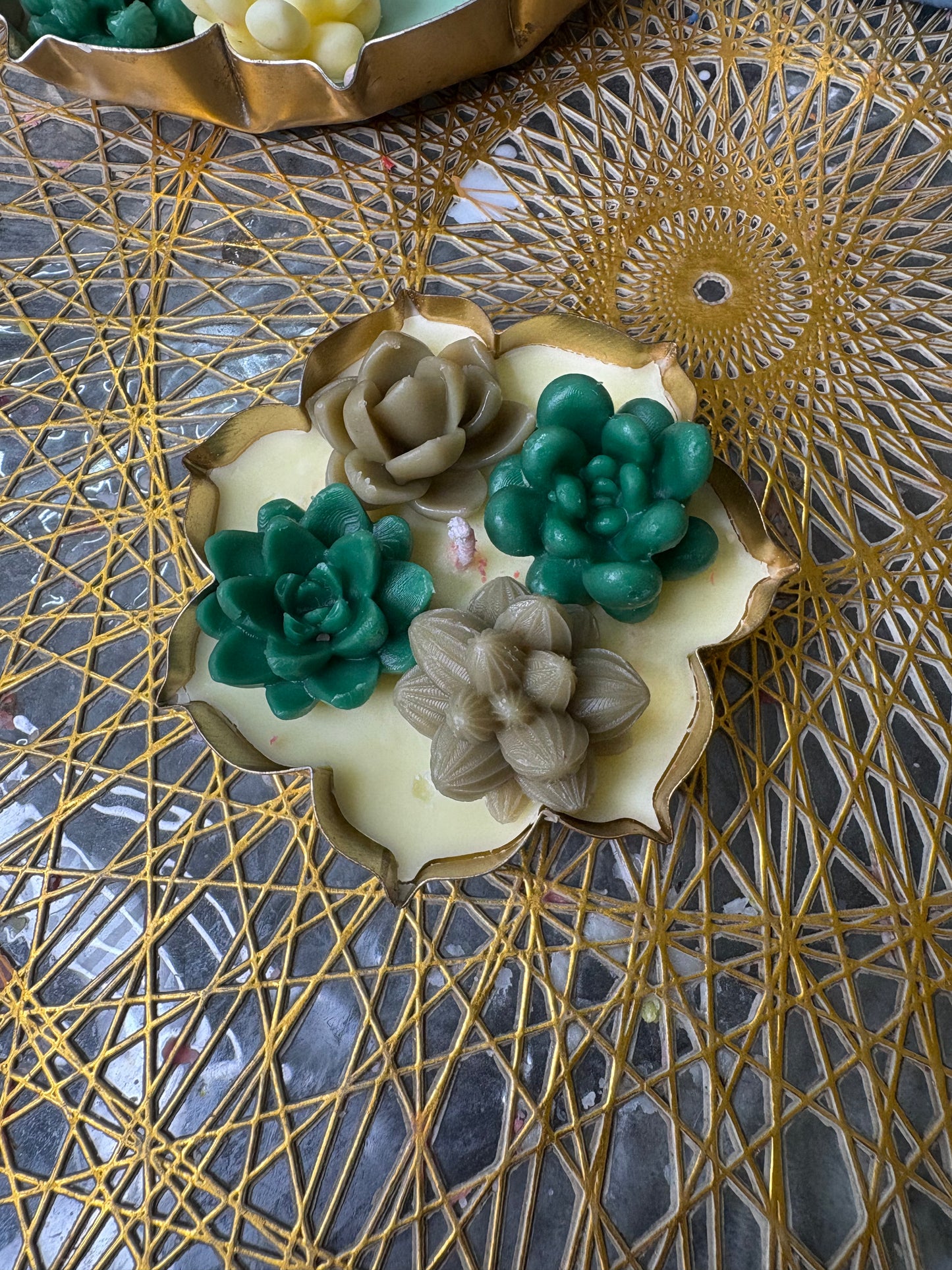 Succulent Plants Urli Candle