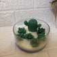 Succulent Plant Candle