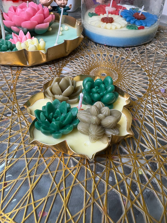 Succulent Plants Urli Candle